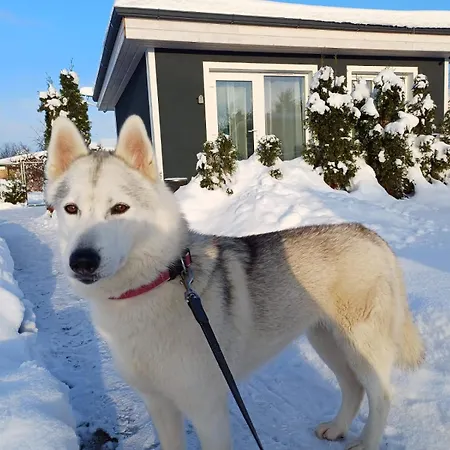 Family Garden House With Free Private Parking & Playground * Ρίγα