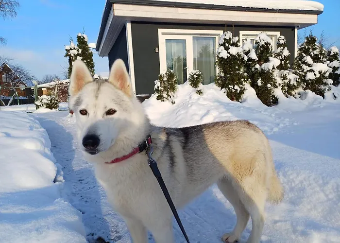 Family Garden House With Free Private Parking & Playground * 里加